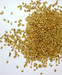 дхарэ - семена кориандра