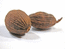 джайпхоль - мускатный орех